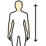 Lengte