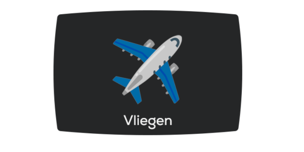 Vliegen