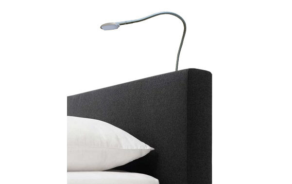 Bedlamp Snake